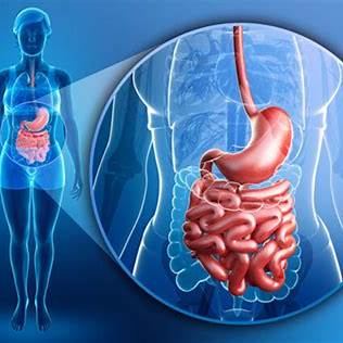 Gastroentérologie